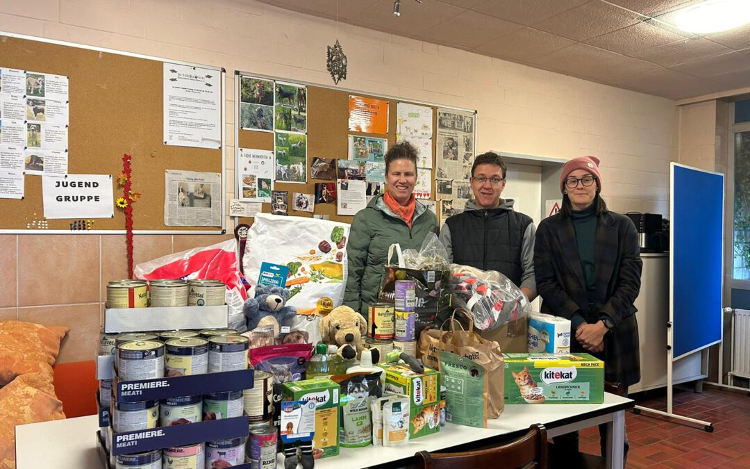 Ganz viele tolle Spenden