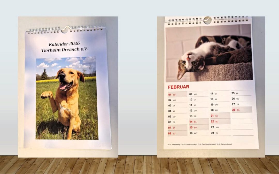 Tierheimkalender 2026 🗓️