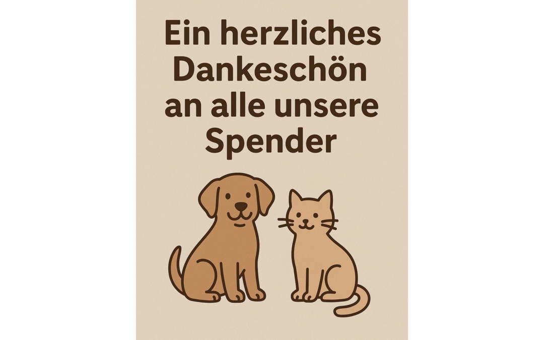 💚Herzlichen Dank an alle unsere Spender! 💚