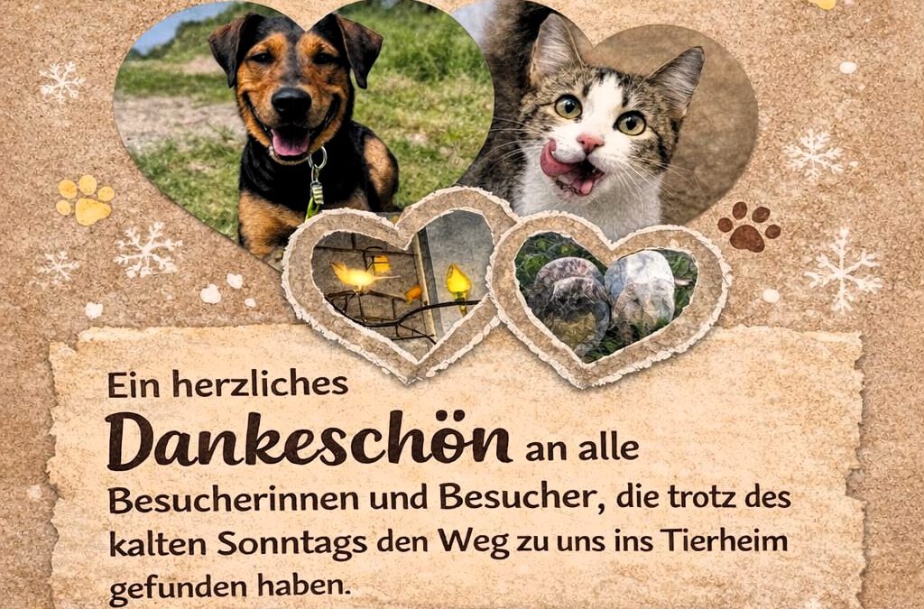 Neujahrskaffee im Tierheim