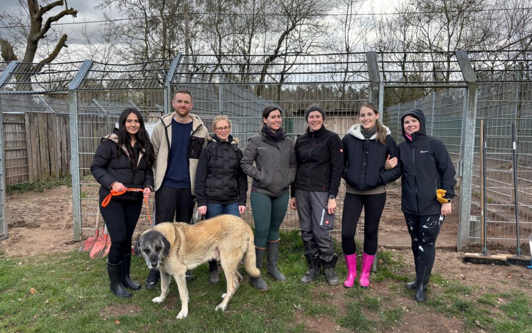 Social Day der Sparkasse Langen-Seligenstadt