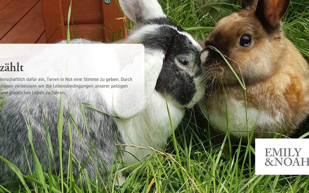 Projekt #MITDIRFÜRSTIER