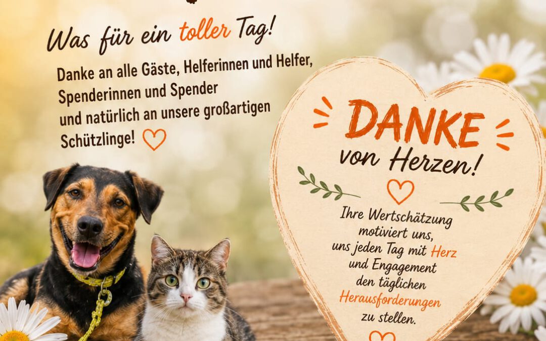 Danke für ein tolles Sommerfest! ☀️