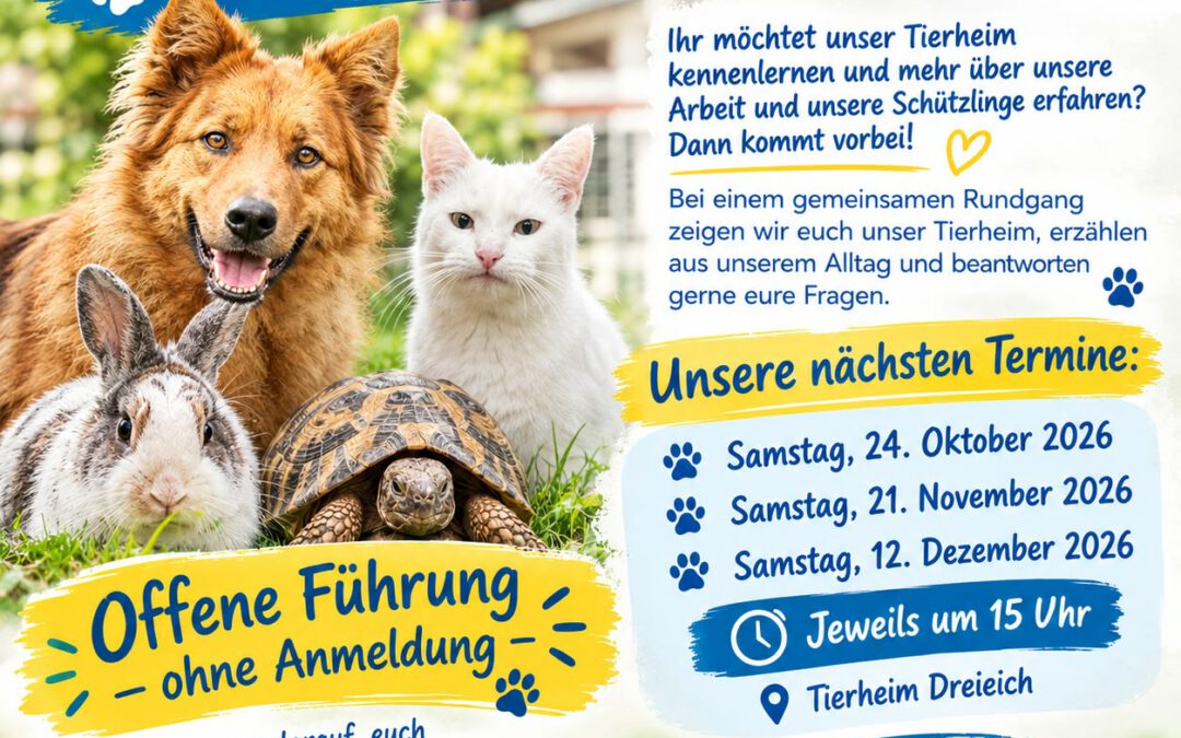 Offene Tierheimführung